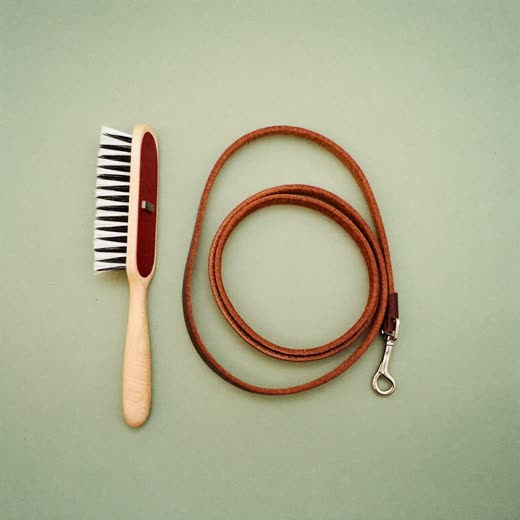 A lead and brush laid out ready for a visit